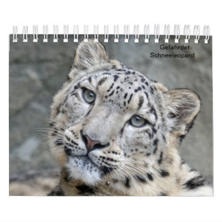 Schneeleoparden als Kalender