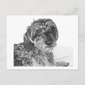 Schnell - tomt vykort