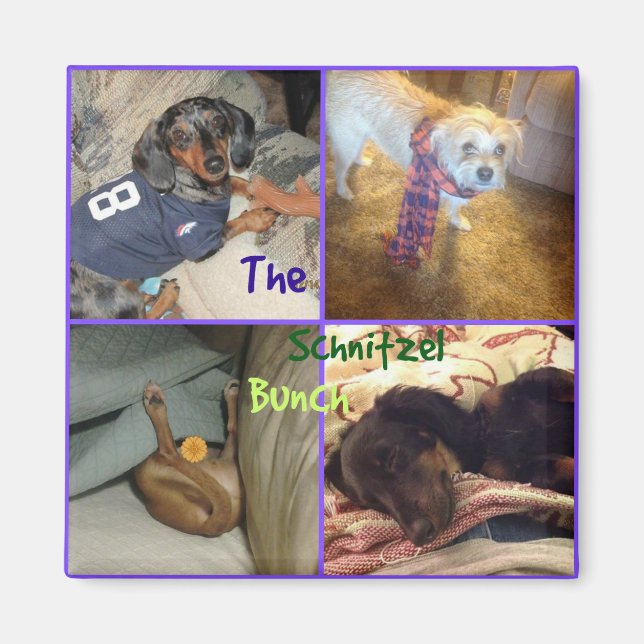 Schnitzel Bunch Magnet (Framsidan)