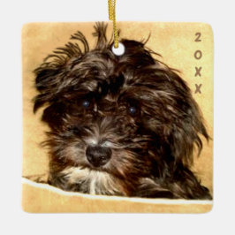 Schnoodle Ceramic Ornament