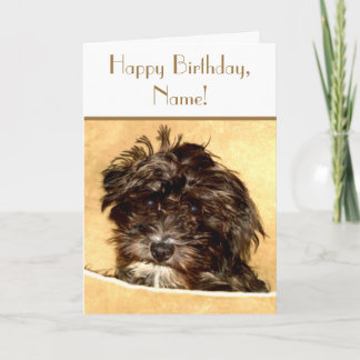 Schnoodle Födelsedag Anpassningsbar Text Kort