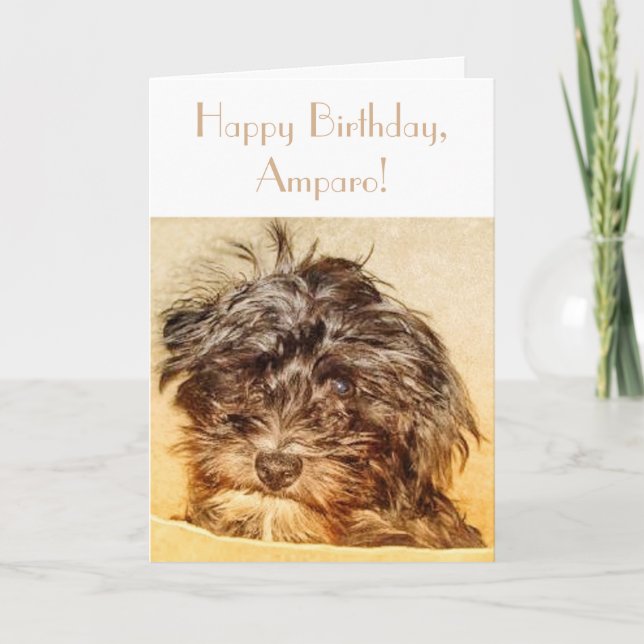 Schnoodle Födelsedagsvikkort Kort (Framsida)