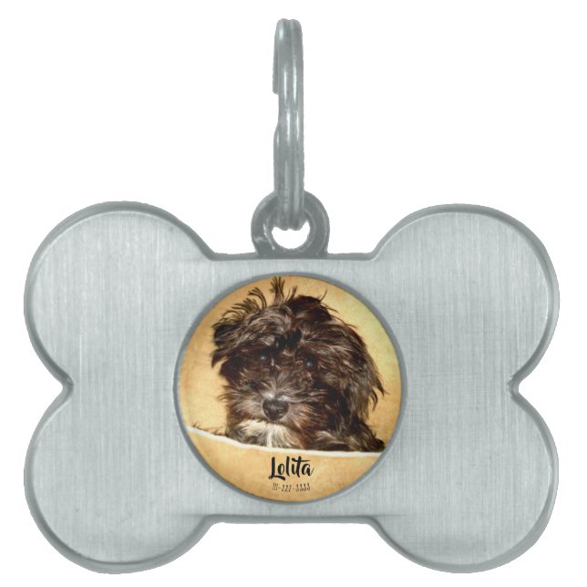 Schnoodle Hund Bone Shaped ID-bricka Husdjur (Framsidan)