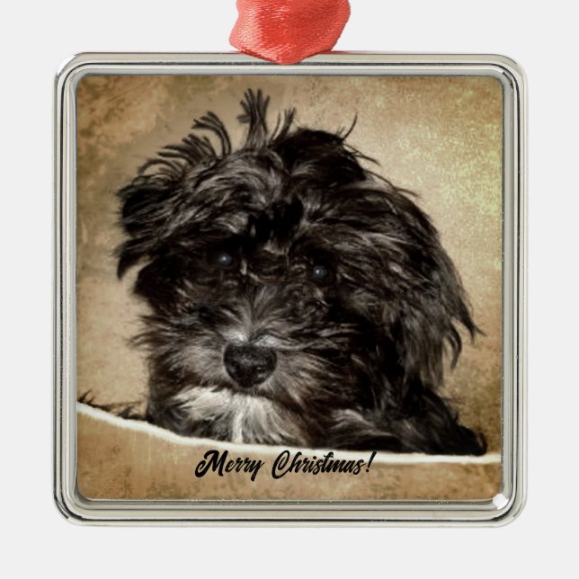 Schnoodle Hund Julgransprydnad Metall (Framsidan)