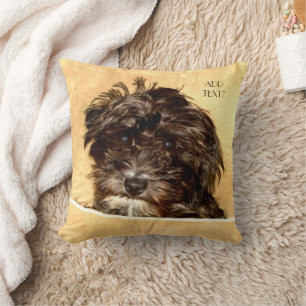 Schnoodle Hund Kuddde med Text Kudde