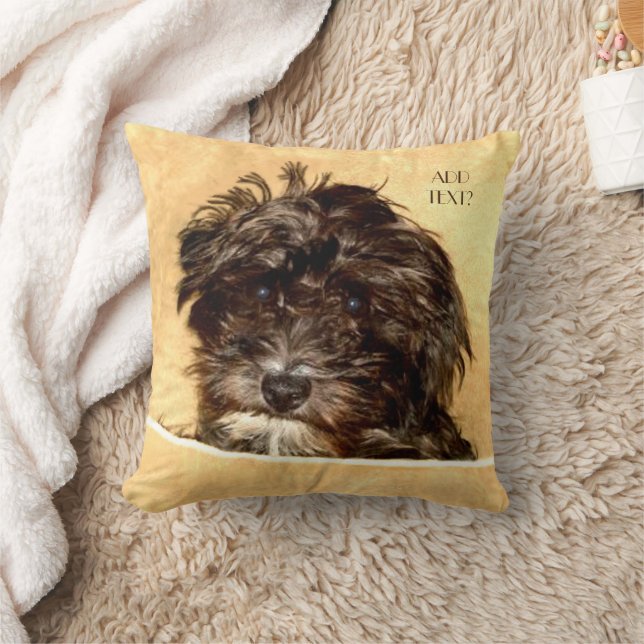 Schnoodle Hund Kuddde med Text Kudde (Filt)