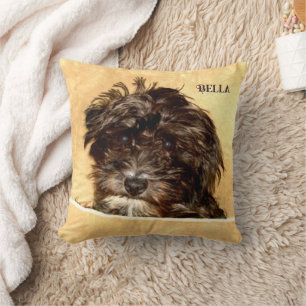 Schnoodle Hund Kuddde med Text Kudde