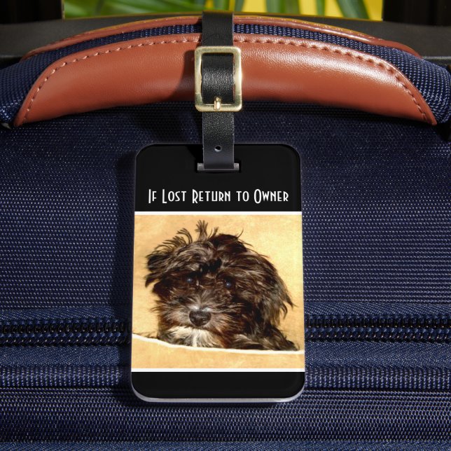 Schnoodle Hund Luggage Tag Bagagebricka (Framsida Insitu 2)