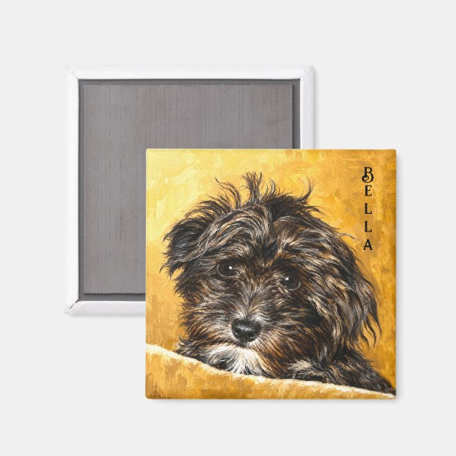 Schnoodle Hund Magnet (Front/Back)