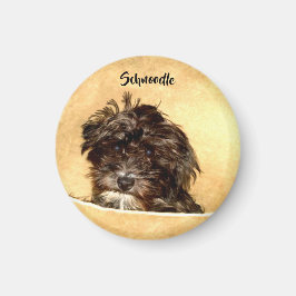 Schnoodle Hund Rund Magnet