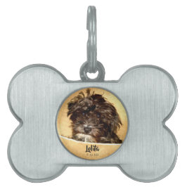 Schnoodle hundben formad ID-bricka husdjur