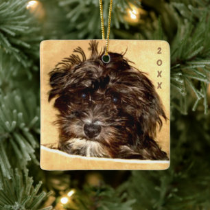 Schnoodle keramisk prydnad julgransprydnad keramik