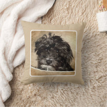 Schnoodle Pepple Kastkudde