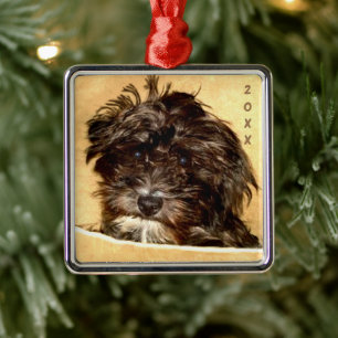 Schnoodle Premium Fyrkantig Ornament