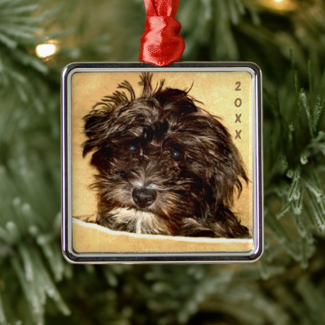 Schnoodle Premium Fyrkantig Ornament (Träd)