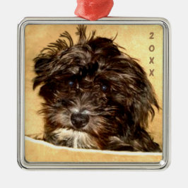 Schnoodle Premium Fyrkantig Ornament