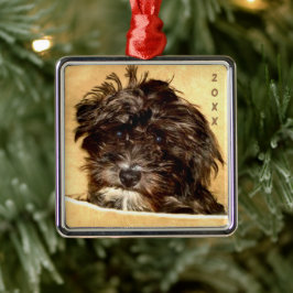 Schnoodle Premium Square Ornament