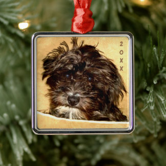 Schnoodle Premium Square Ornament