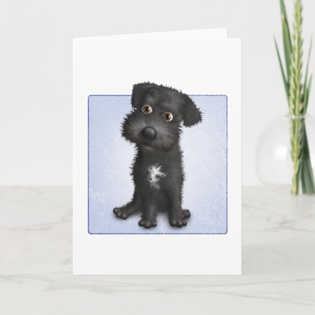 Schnoodle (svart) kort (Framsida)