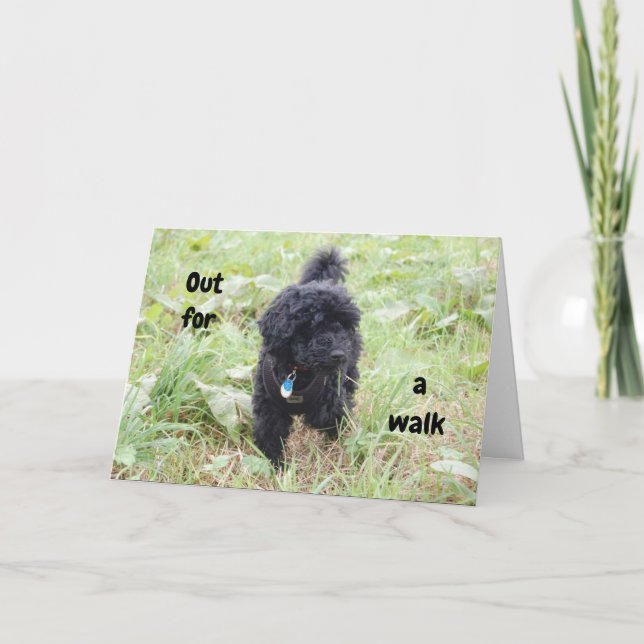 SCHNOODLE VALP SÄGER LYCKLIG 50 BIRTHDAY KORT (Framsida)