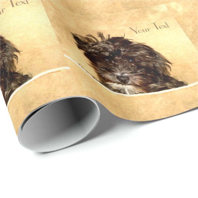 Schnoodle Wrapping Papper Presentpapper (Rullad Hörn)