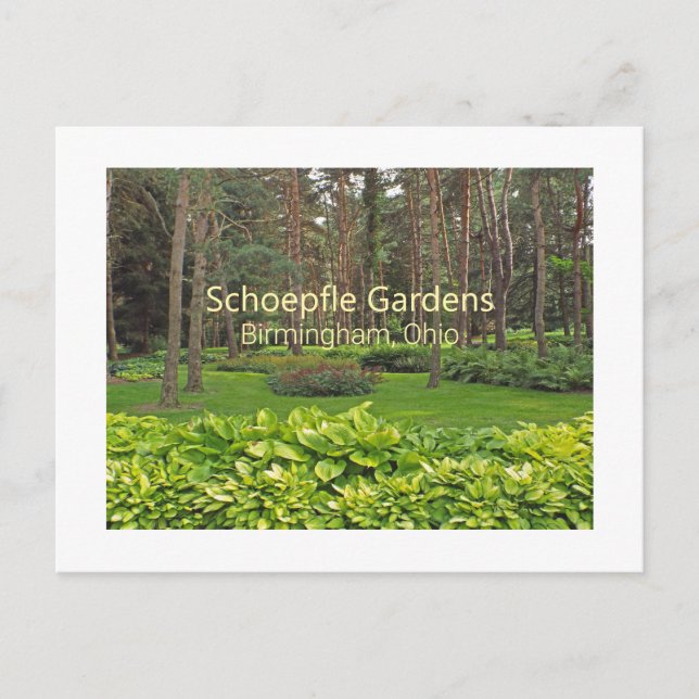 SCHOEPFLE GARDEN (OHIO) POSTCARD VYKORT (Framsida)