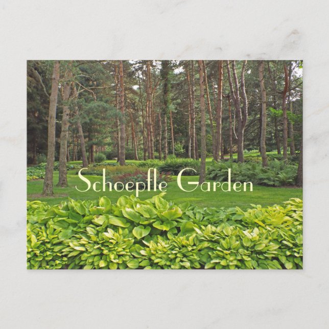 SCHOEPFLE GARDEN (OHIO) POSTCARD VYKORT (Framsida)