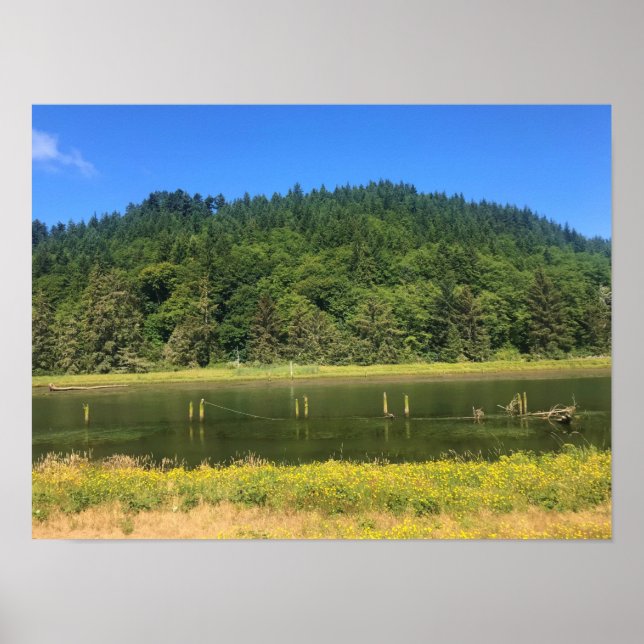 Scholfield Bäck, Reedsport, Oregon Poster (Framsidan)