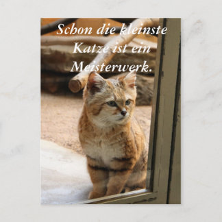 Schon die kleinste Katze ist ei... Vykort