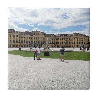 Schönbrunn Palace Wien, Österrike Kakelplatta