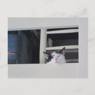 Schöne Aussicht Vykort