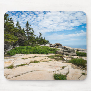Schoodic Point i Acadia nationalpark i Maine Musmatta