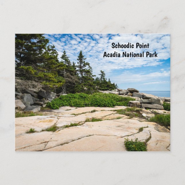 Schoodic Point i Acadia nationalpark i Maine Vykort (Framsida)