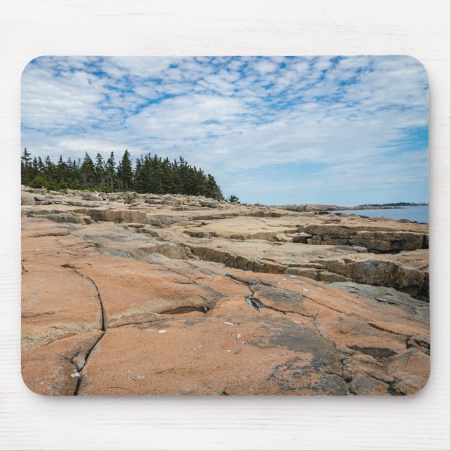 Schoodic Point in Acadia nationalpark Musmatta (Framsidan)