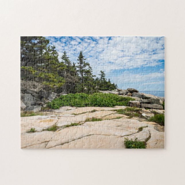 Schoodic Point in Acadia nationalpark Pussel (Horisontell)