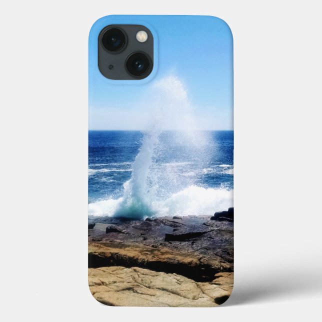Schoodic Point iphone case (Baksida)