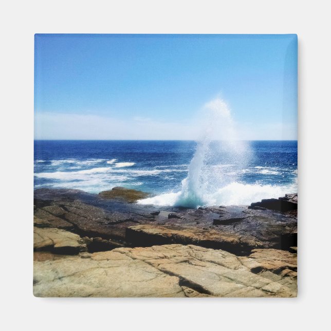 Schoodic Point Magnet (Framsidan)