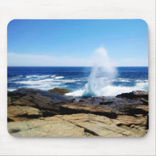 Schoodic Point Musmatta