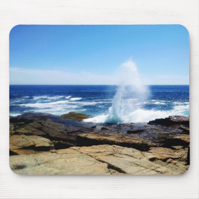 Schoodic Point Musmatta (Framsidan)