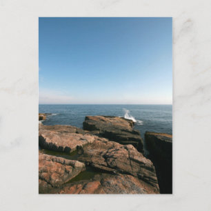 Schoodic Point Vykort