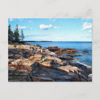 Schoodic Shoreline 1-Adj Vykort