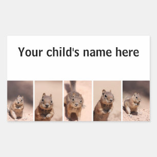 School Bok Stickers Chipmunk Squirrel Rektangulärt Klistermärke