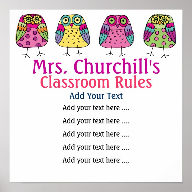 School Teacher's Classroom Rules LG. by SRF Poster (Framsidan)