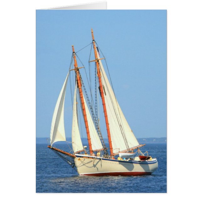 Schooner American Eagle-segling Hälsningskort (Framsidan)