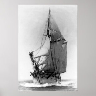 Schooner EG. Vit Poster