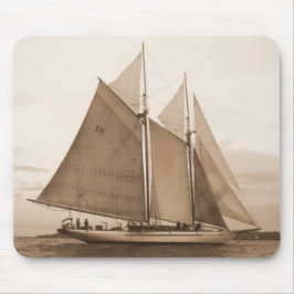 Schooner i Sepia Musmatta