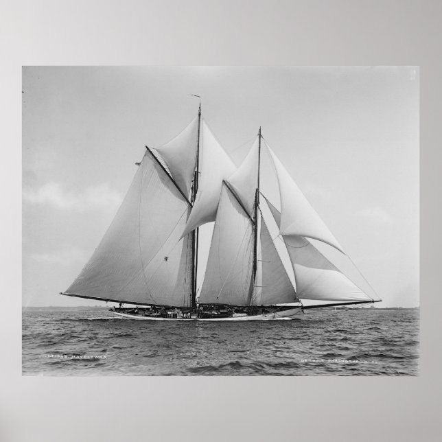 Schooner Mayblomma Poster (Framsidan)