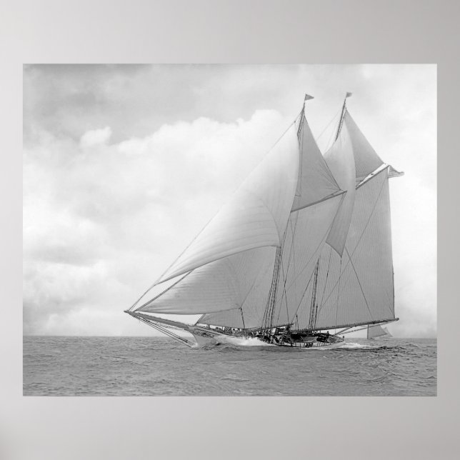 Schooner Yacht America Poster (Framsidan)