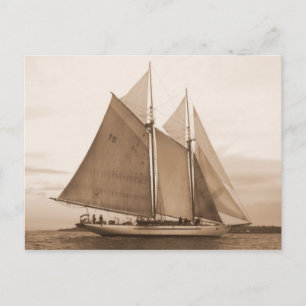 SchoonerAdventuress Vykort