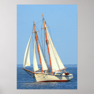 schoonerseglingaffisch poster